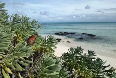 Image de Distance de marche de l'une des plus belles plages de la Côte d'Azur