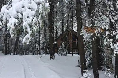 Image de Escapade cabine Adirondack!