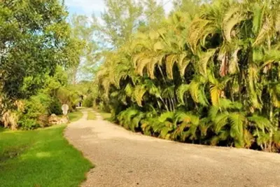 Image de Tropical Sanibel cottage, à pied de la plage, levers de soleil parfaits, animaux acceptés! ,