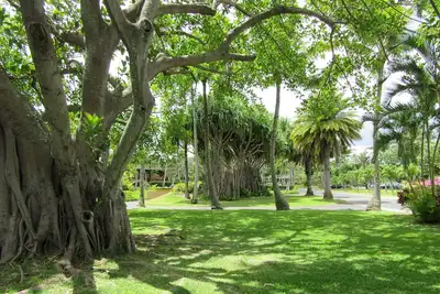 Image de Consultez nos tarifs réduits! Super affaire pour les hébergements de style Resort