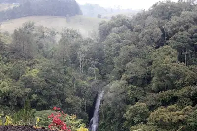 Image de Cascada Cafe Retiro (Café Retreat Cascade) Expérience de la ferme de café en Colombie