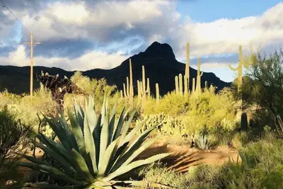 Image de Spectacular Desert Villa