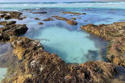 Image de Currawong Cottage Vivonne Bay