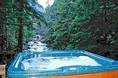 Image de Isolement total, 50 acres privées, bord de la rivière 2000 pieds, cabine de montagne, bain à remous