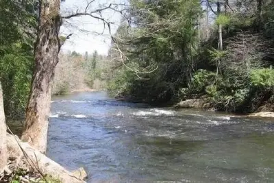 Image de «Creek-N-Awesome» Luxury Creek Cabin / Trout Fishing / Hot Tub / Pet Friendly