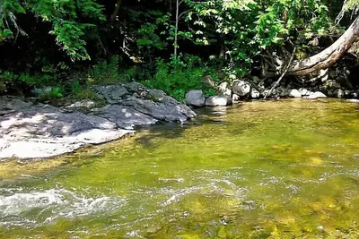 Image de 6 Acres Of River Front Heaven, dates de juillet et août disponibles! ! !