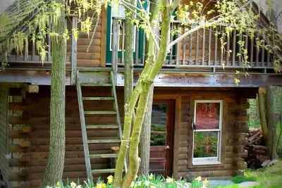 Image de Une cabane en rondins sereine nichée parmi les champs de bataille
