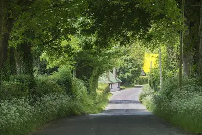 Image de Cottage idéal pour explorer le sud-ouest pittoresque de l'Irlande jusqu'à 5 confortablement