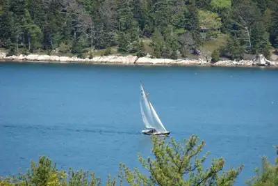 Image de Vues magnifiques sur Somes Sound et Sargent Mountain