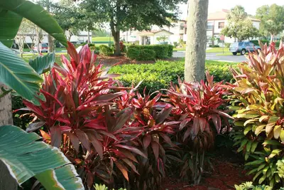 Image de Oct ouvert. nites gratuites, rez-de-chaussée 2/2-Gated, piscines WiFi-Golf, -Universal 30 min.