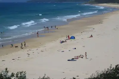 Image de Dolphin View Appartement