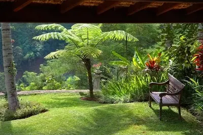 Image de Culture Incroyable Villa 5 Chambres Ubud