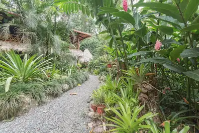 Image de Jungle vivant à son meilleur! 2 à 9 personnes dans la zone la plus recherchée de Caribe.