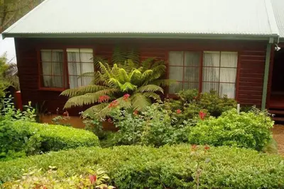 Image de Bluebell Cottage situé parmi les arbres qui attirent de nombreux oiseaux indigènes.