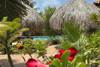 Image de Villa de luxe à 4 lits, piscine privée, courte promenade à Ritz et Marriott Beach!