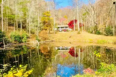 Image de Venez vous détendre à Duck Pond Mountain Retreat w / ruisseau et étang sur 9 acres