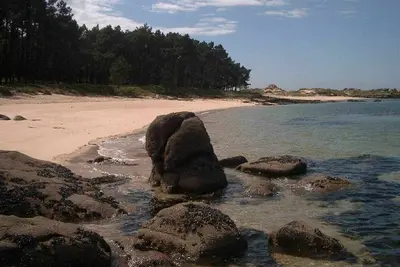 Image de Appartements Illa à la mer Iv