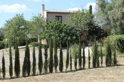 Maison / villa - Manacor