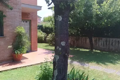 Image de Appartement - Lucca