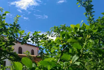 Image de Il Gelsomino Home Holiday, Alcamo (Tp), Sicile. Détendez-vous et beaucoup de mer