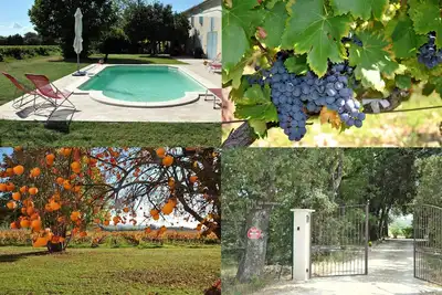 Mas de caractère avec piscine face au vignoble du propriétaire