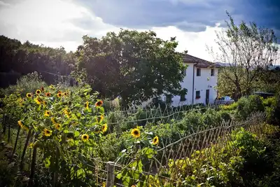 Image de Une maison chaleureuse en plein coeur de l'Italie, bio ferme