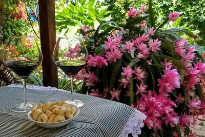 Image de Comfortable Apartment With Garden, Wi-Fi Netflix Iun R8636