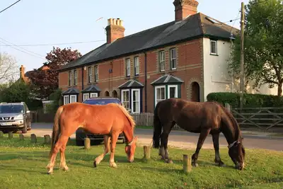 New Forest Cottage avec vue sur Green où poneys et animaux de la forêt paissent souvent