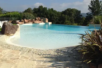 Image de Le calme de la forêt, à quelques minutes de la mer