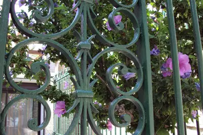Image de Charmante maison de village dans la région viticole du Minervois
