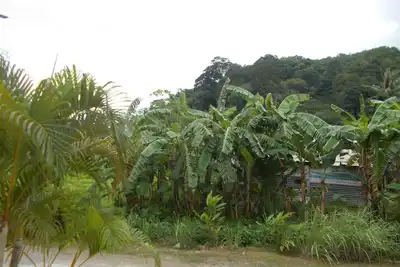 Image de Nouvelle petite maison au soleil toute l annee! Le calme absolu!
