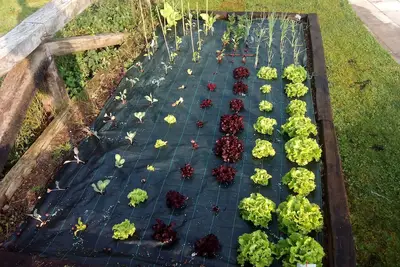 Image de Belle maison avec jardin et piscine privée en Cantabrie