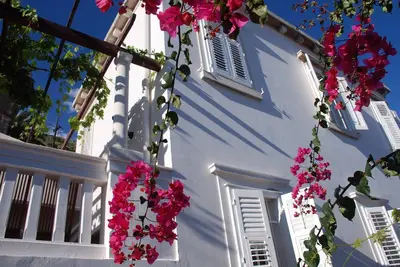 Image de Luxueuse villa indépendante à Dubrovnik, à 5 min à pied de la ville historique et des plages