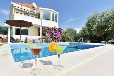Image de Votre Parfait dalmate vacances