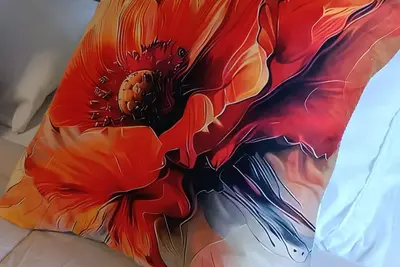 Image de Aveiro Ria Voir Moliceiros