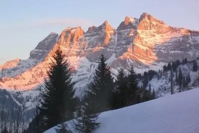 Image de Superb, new, ski in/ski out Swiss apartment in Portes du Soleil