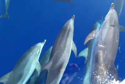 Image de Panorama, à 100m de l'eau, 2 terrasses, penthouse, moderne