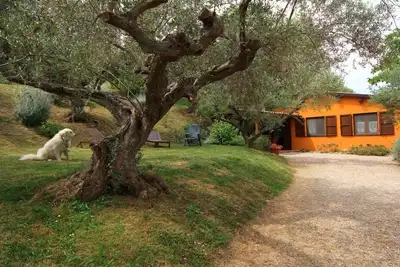 Image de Fonte Pecorale \"la Stalla\" \"Oasis de repos et de détente\" et piscine chauffée