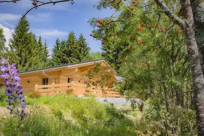 Image de Chalet de luxe neuf dans le parc national de la forêt bavaroise jusqu'à 4 personnes