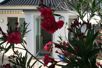 Image de petit luxe à Berlin-Pankow, central et vert avec son propre espace de stationnement