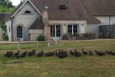 Image de Magnifique gîte, bord de rivière la Sauldre, piscine & tennis, 8-11pers, Sologne