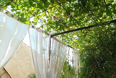 Image de Gîte moderne, au pied du Mont Ventoux, dans un mas provençal avec piscine