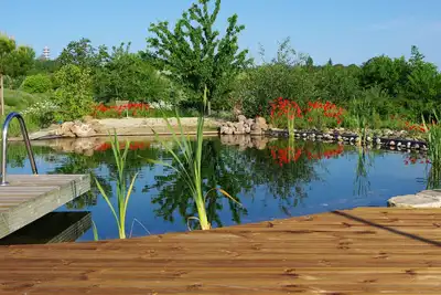 Image de Les bleuets et sa piscine naturelle