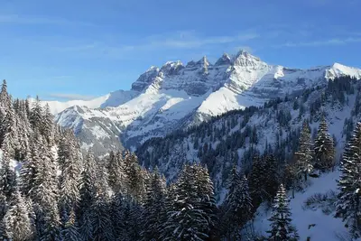 Image de Ski in & out aux Portes du Soleil, Sunjacques ensoleillé face aux Dents du Midi