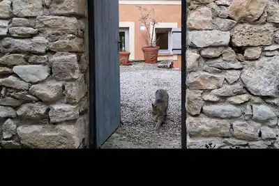 Image de Une Maison En Drôme Provençale
