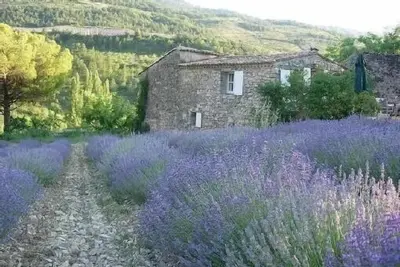 Image de Bergerie restaurée En Provence a proximité de Vaison la Romaine et Mont Ventoux