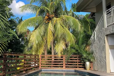 Image de Maison avec piscine vue mer dans un jardin arboré aux Anses d'Arlet