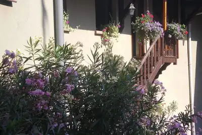 Image de Gîte chez le vigneron pour 6 personnes