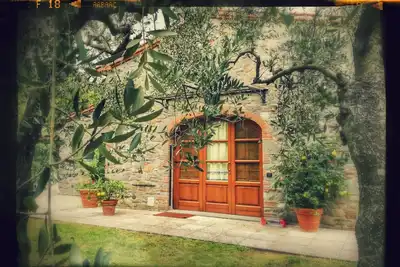 Image de Ancien four entouré d'oliviers et de fleurs à Matraia
