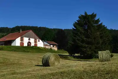 Image de La Prairial : Belle ferme vosgienne 400 m² avec Spa, à 10 min du lac Gérardmer